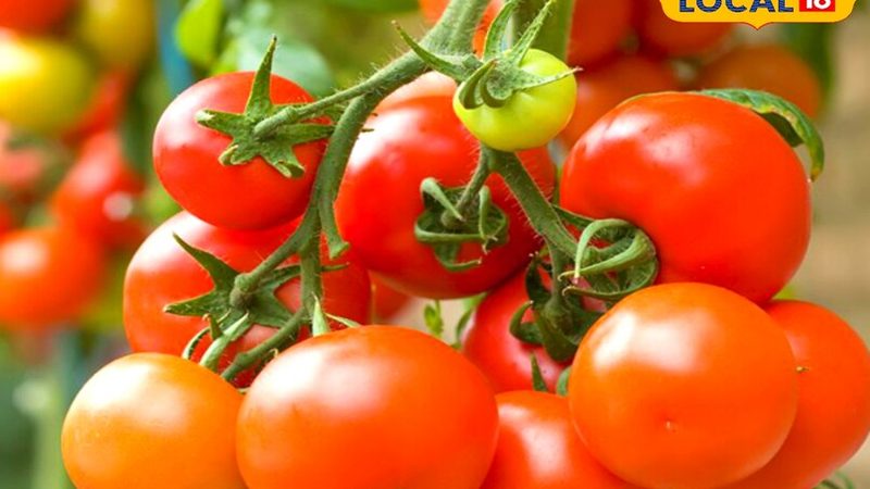 老年人体检套餐：关键项目解析与选择要点**